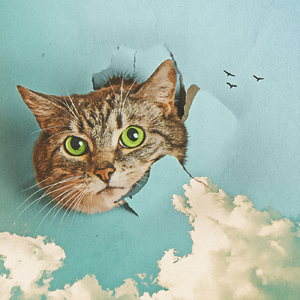 国产精选中文字幕
