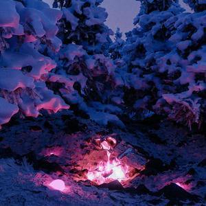 国产精选中文字幕
