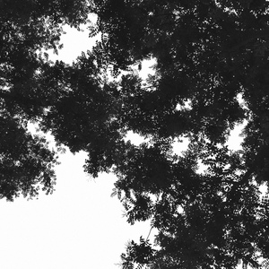 国产精选中文字幕
