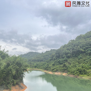 国产精选中文字幕
